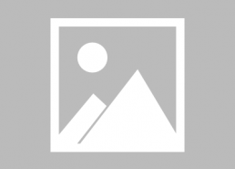 娱乐圈吃瓜赵薇